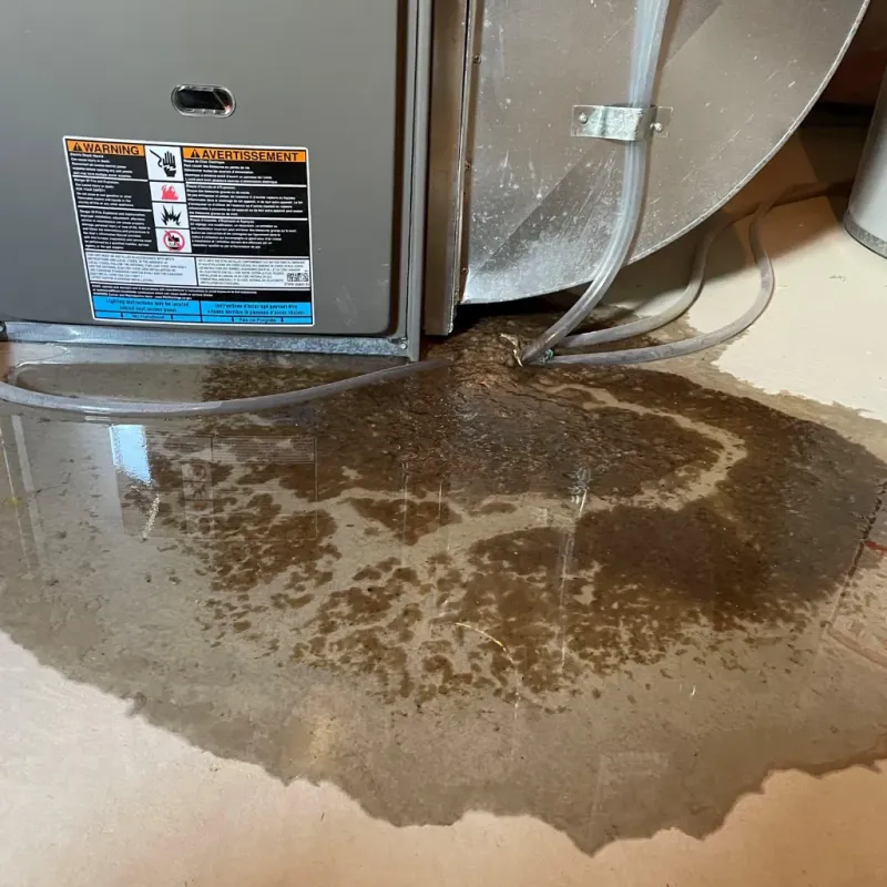 Appliance Leak Cleanup in Prattville, AL