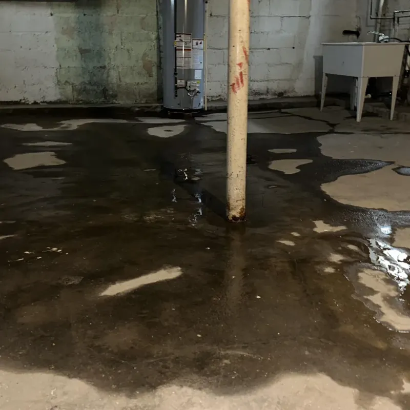 Emergency Water Extraction And Removal in Prattville, AL